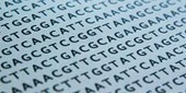 DNA-based Data Storage Here to Stay | The Scientist Magazine&reg; | Plant health | Scoop.it