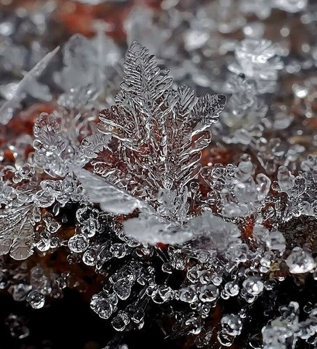 Macro Photographs of Snow Crystals & Snowflakes | Looks -Pictures, Images, Visual Languages | Scoop.it