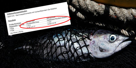 SUISSE: Des poissons contaminés par Fukushima vendus en magasin | Nature to Share | Scoop.it