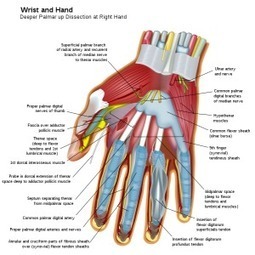 Why typing with long nails is bad for you | Paola's blogging portfolio | Scoop.it