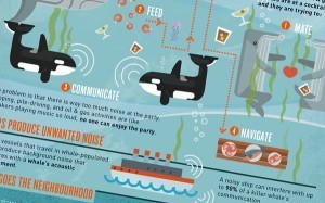 The Secret to a Sound Ocean | green infographics | Scoop.it