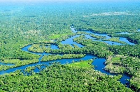 The Amazon Rainforest Should Deal With Climate Change Better Than We Thought | Climate change challenges | Scoop.it