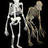 Paleoanthropology news