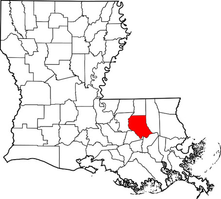 Business Report: Fitch downgrades some Livingston Parish bonds, calls outlook 'negative' | Denham Springs Real Estate News | Scoop.it