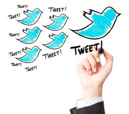 Quelques conseils pour d&eacute;velopper votre r&eacute;seau d'Abonn&eacute;s Twitter | E-apprentissage | Scoop.it