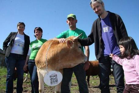 Morbihan. Le canular des vaches &agrave; QR codes devient r&eacute;alit&eacute; | QR code news | Scoop.it