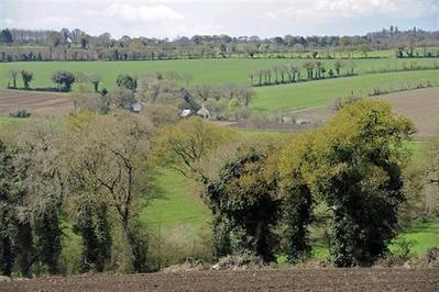 OGM, agro-&eacute;cologie&nbsp;: Sud Solidaires s&rsquo;interroge sur la strat&eacute;gie de l&rsquo;Inra - Agriculture - ouest-france.fr | Abeilles, intoxications et informations | Scoop.it