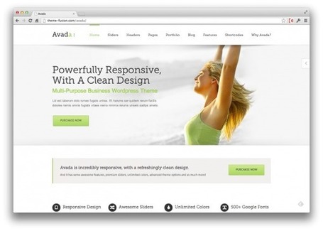 Holy Cow - Earn $100K per Month with 1 WP Theme! - WP Daily | coolwebworks | Scoop.it