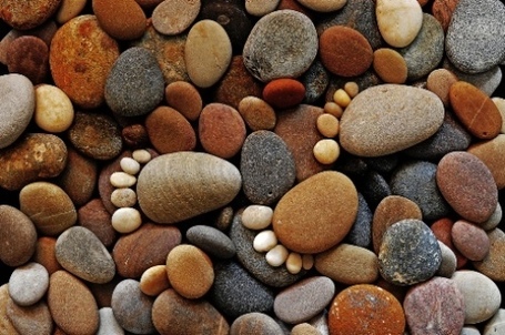 Stone footprints | Upcycled Garden Style | Scoop.it