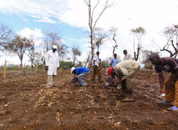 Battle of Surviving Climate Change in Kenya - Onislam | CGIAR Climate in the News | Scoop.it