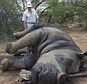 Dying rhino leads calf to safety in final act of motherly love as game reserve poachers go on four-day killing spree in South Africa | Biodiversity IS Life -- Conservation,Ecosystems,Wildlife,Rivers,Water,Forests | Scoop.it
