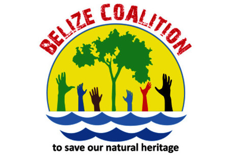 Get To the Polls to Vote on Offshore Oil Exploration | Cayo Scoop!  Best of Cayo's Online Magazine. | Scoop.it