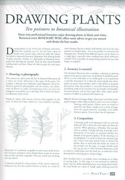 How to Draw Plants for&nbsp;Documentation | Garden Libraries | Scoop.it