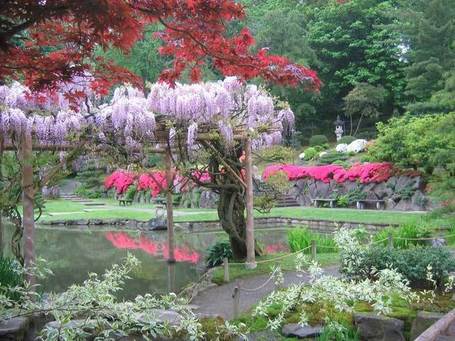 Garden Picture Gallery: Japanese Gardens | Japanese Gardens | Scoop.it
