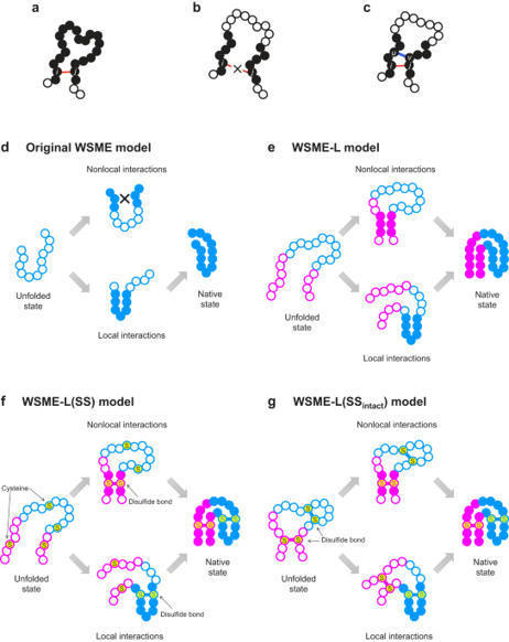 Accurate Prediction Of Protein Folding Mechanis