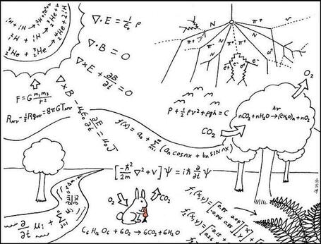 Everyday physics | Intelligent humor | Scoop.it