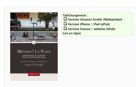 Meydan | La Place 2 | davidbosman.fr | Publie.net | Scoop.it