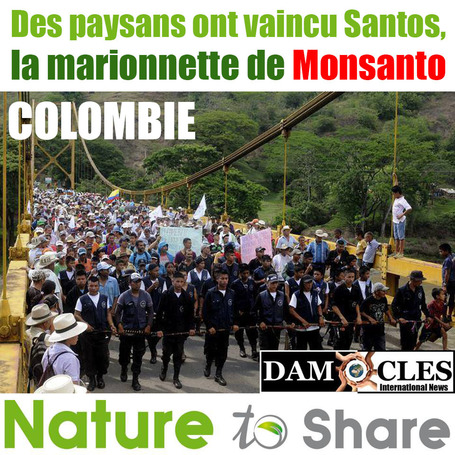 COLOMBIE: Des paysans ont vaincu Santos, la marionnette de Monsanto en Colombie | Nature to Share | Scoop.it