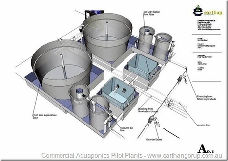 Free Commercial Aquaponics Pilot Construction Plans | Aquaponics in 