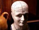 Nine Things Educators Need to Know About the Brain, by Louis Cozolino | Business and Economics: E-Learning and Blended Learning | Scoop.it