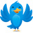 img_Best of Tweet Smarter