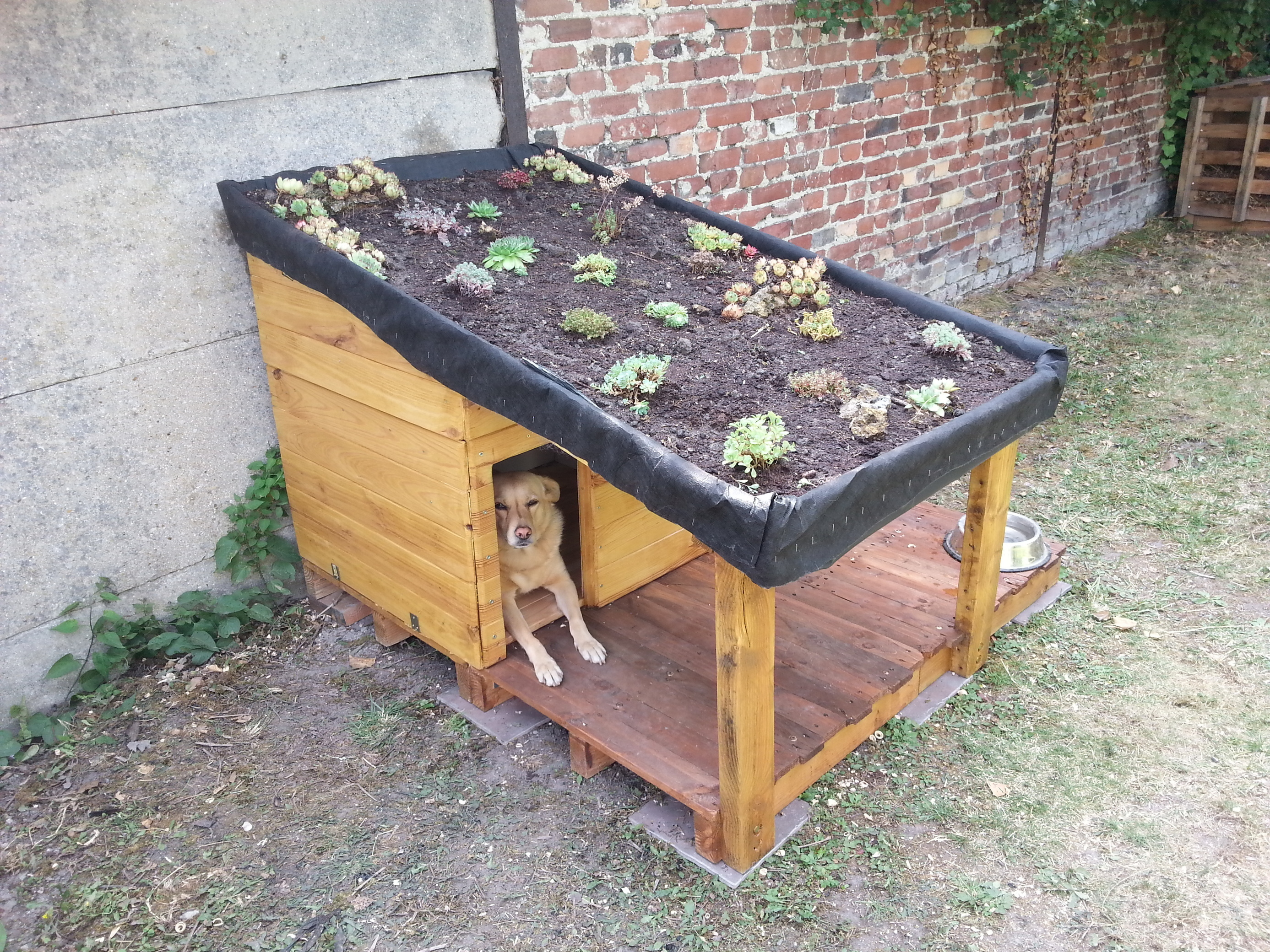 Doghouse with green roof / niche pour chien ave...