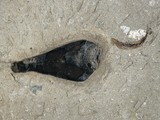 Fossil ink sac from a 160-million-year-old squid contains still soft pigment | Amazing Science | Scoop.it