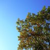 Personal Development & Improvement