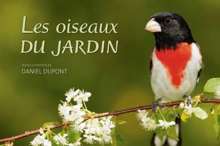 Les oiseaux du jardin: un bouquin prestigieux - Cyberpresse | Plantes et jardins | Scoop.it