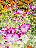 1001in365: Flower Garden - image 340 | Learning, Teaching & Leading Today | Scoop.it