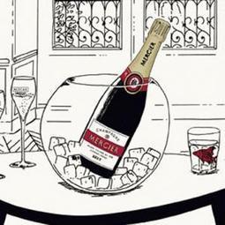 Une nouvelle g&eacute;n&eacute;ration de consommateurs : les internautes et les trentenaires connect&eacute;s | Tag 2D & Vins | Scoop.it