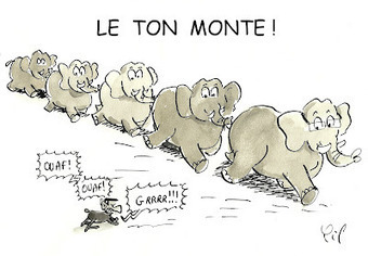 La mouche Ducoche: Le ton monte ! | humour, satire et blog caustique | Scoop.it