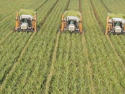 Can Permaculture Transform Industrial Agriculture? | Vertical Farm - Food Factory | Scoop.it