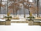 Winter gardens have a beauty all their own. Enjoy its bare branches, sculptural evergreens, and more | Aussiemandas Auspicious | Scoop.it