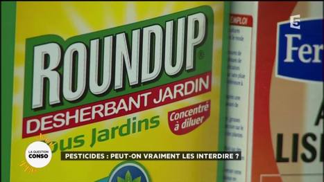 Vidéo - La Quotidienne - Pesticides : peut-on vraiment les interdire ? - 12-04-2016 | OGM, Pesticides, Les alternatives et les problèmes de l’agriculture chimique | Scoop.it