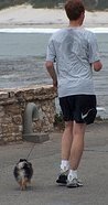 Jogging with Your Dog - Tracey P | The Best of Google Knol | Scoop.it