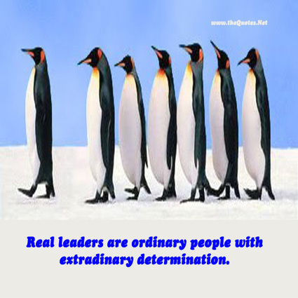 Motivational Quotes Leadership on Leadership Quotes   Thequotes Net     Motivational Quotes