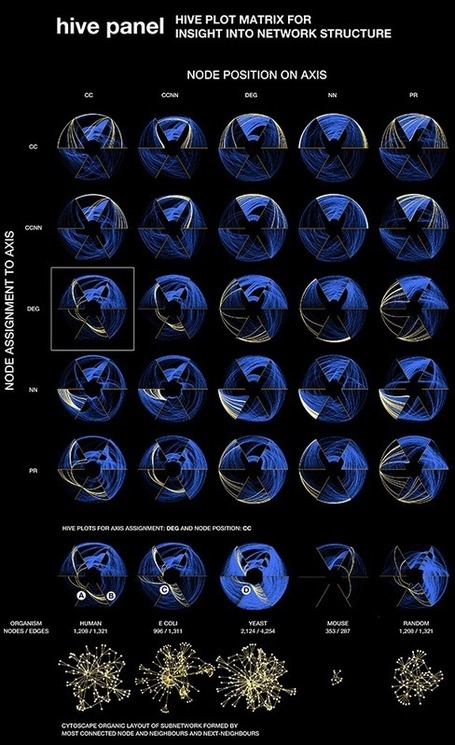 Hive Plots - Linear Layout for Network Visualization - Visually Interpreting Network Structure and Content Made Possible | EEDSP | Scoop.it