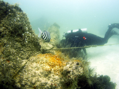USS Narcissus, Civil War shipwreck off Egmont Key, could become Florida's 12th underwater preserve - Tampa Bay Times | ScubaDiving | Scoop.it