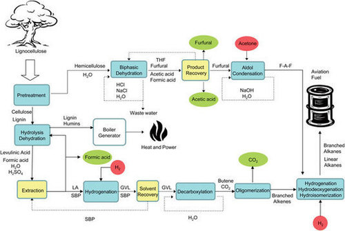 Carving out a future for biomass conversion to jet fuel