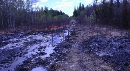 &lsquo;Every Plant And Tree Died&rsquo;: Huge Alberta Pipeline Spill Raises Safety Questions As Keystone Decision Looms | Sustain Our Earth | Scoop.it