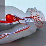 Labs Seek New Ways to Look Inside the Body | healthcare technology | Scoop.it