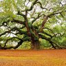 Our Evolving Earth