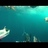 Saltwater Fishing