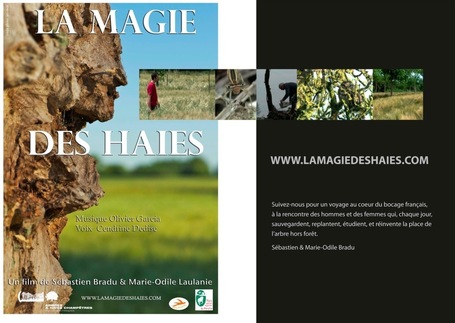 La Magie des Haies ... | Agroforesterie | Scoop.it