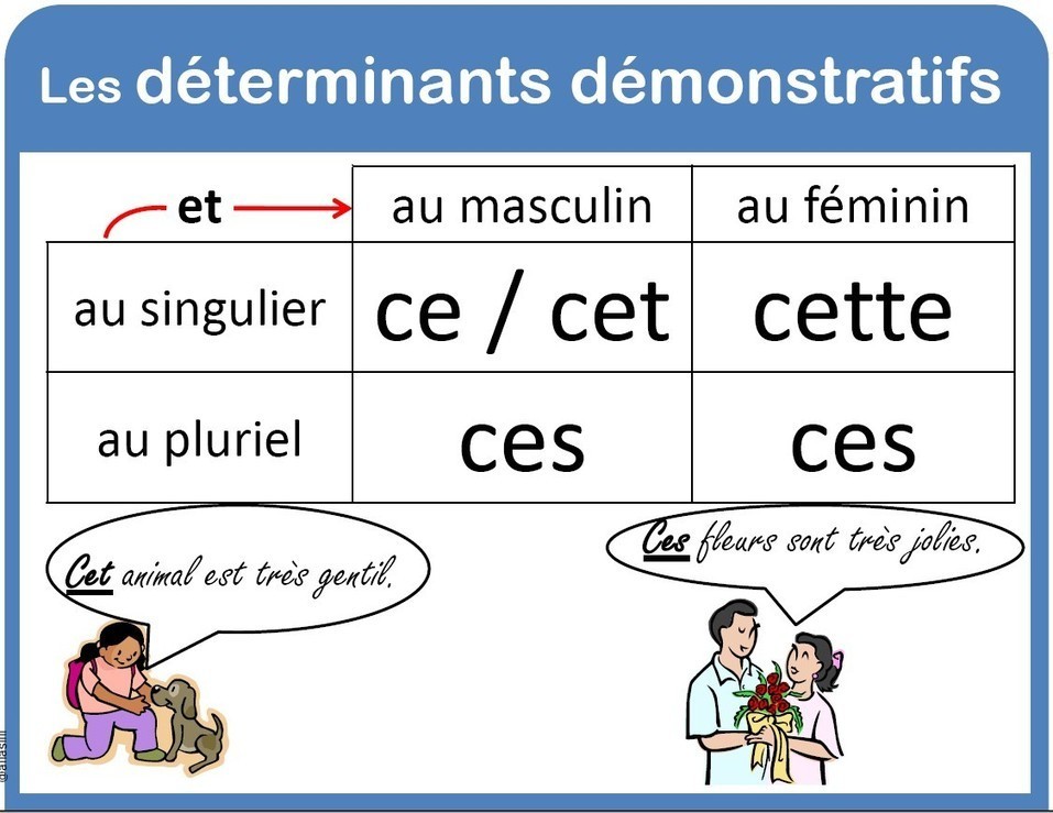 Resultado de imagen de Les adjectifs démonstratifs