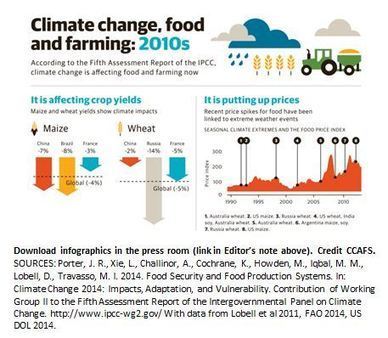 Taking Action To Deliver Agriculture Growth, Jobs, Food Security In ...