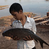 Rural poor at risk from climate change, says report | Climate Change, Agriculture & Food Security | Scoop.it