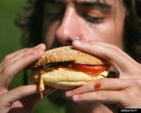 Des chercheurs d&eacute;couvrent un sixi&egrave;me go&ucirc;t : le gras. | Food trends | Scoop.it