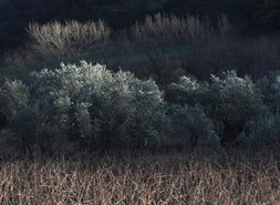 T&egrave;rra de lutz : photographies de Georges Souche | Livres photo | Scoop.it